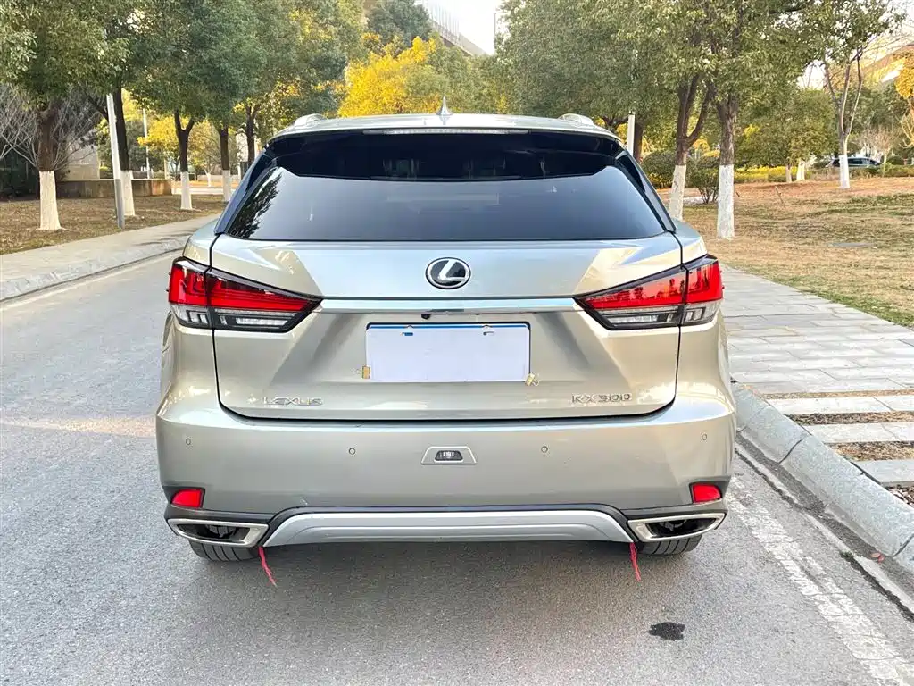 Lexus RX 300 4 WD Elegant CN-VI