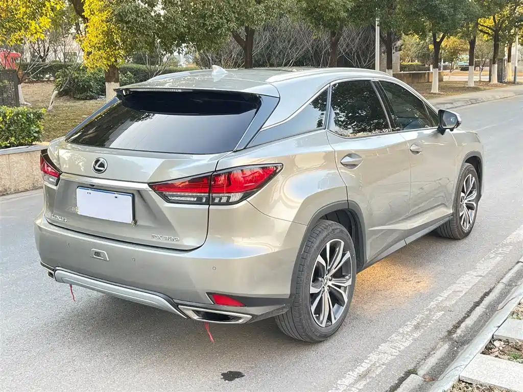 Lexus RX 300 4 WD Elegant CN-VI