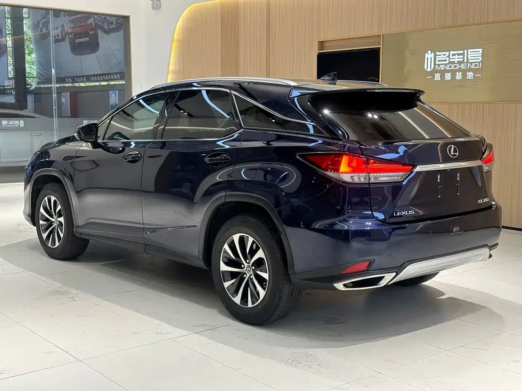 Lexus RX 300 2 WD Elite CN-VI