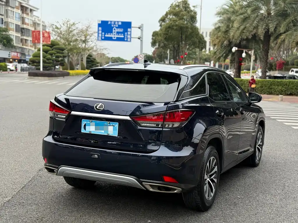 Lexus RX 300 2 WD Comfort CN-VI