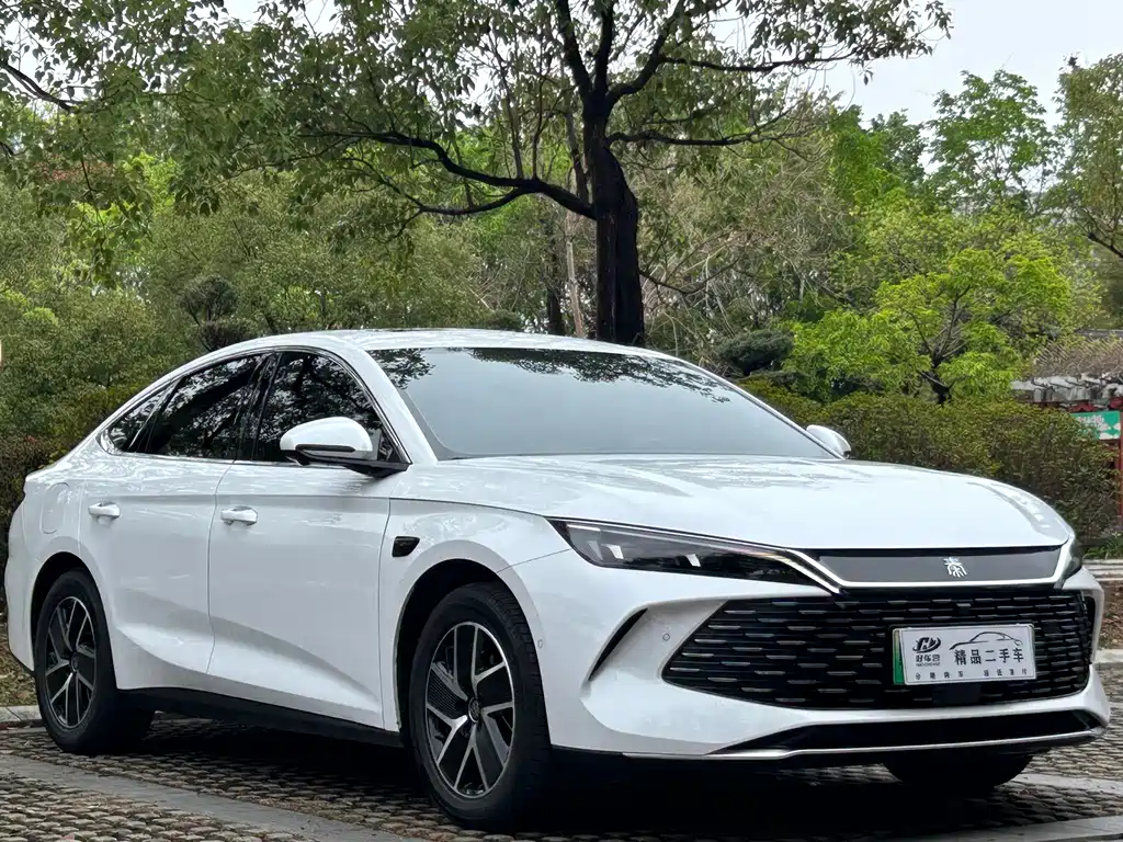 Qin L DM-i Smart Drive 120 KM Transcend