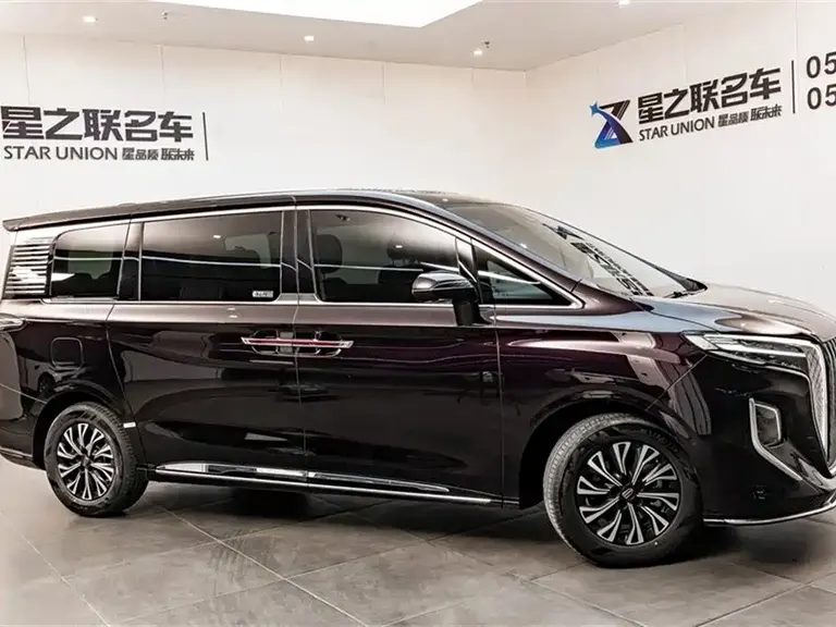 Hongqi HQ9 2.0 T Luxury