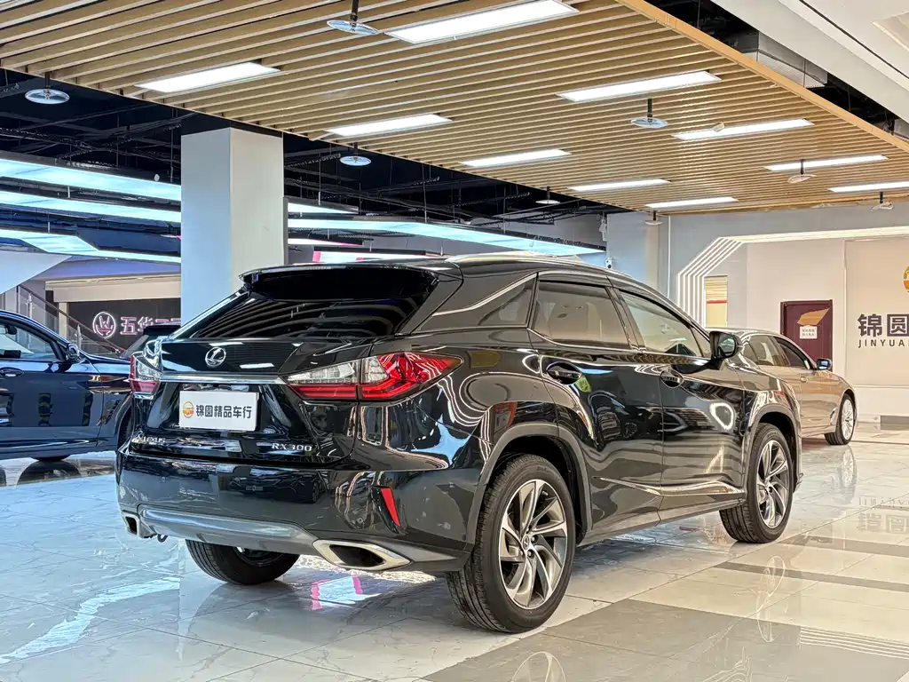 Lexus RX 300 4 WD Elegant CN-VI