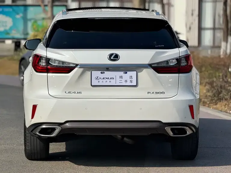 Lexus RX 300 4 WD Elegant CN-V