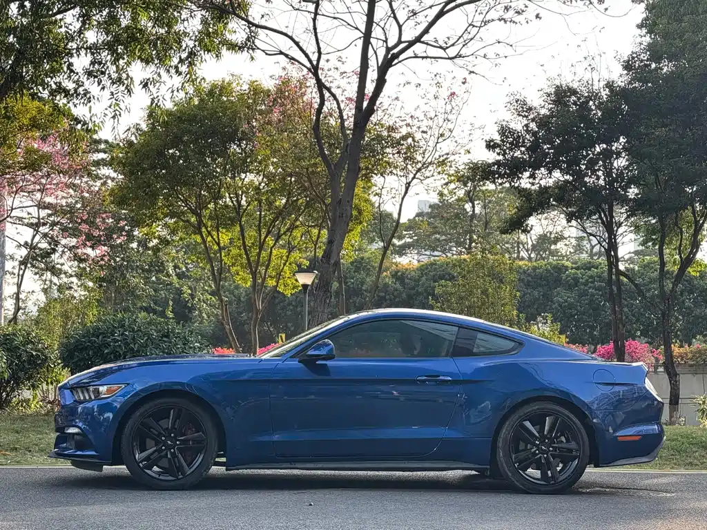 Mustang 2.3 T Performance
