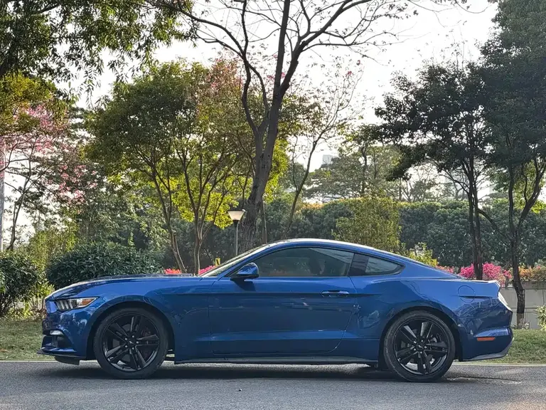Ford Mustang 2.3 T Performance