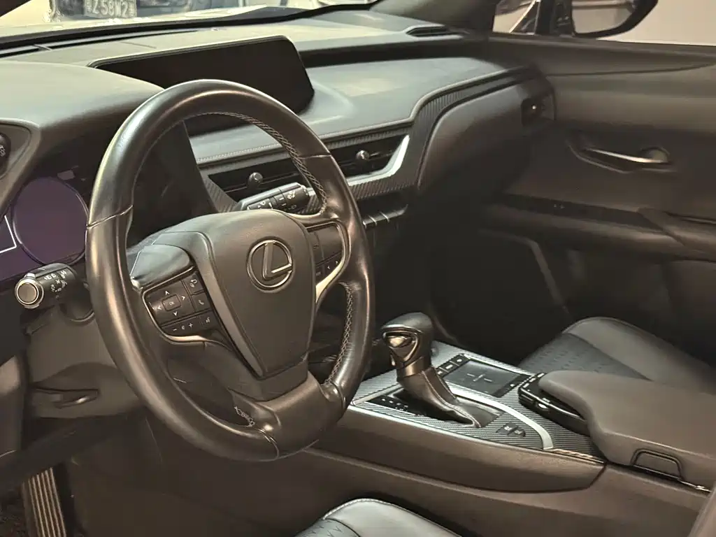 Lexus UX 260 h · CN-V