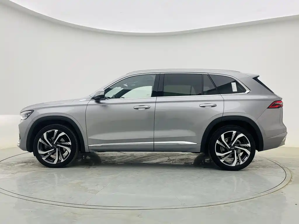 Xingyue L 2.0 TD High Power Auto 2 WD Skyline
