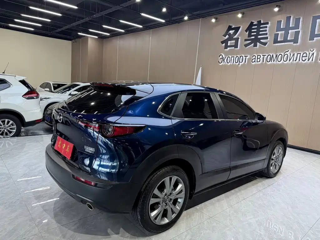 Mazda CX-30 2.0 L Auto Elegant Joy