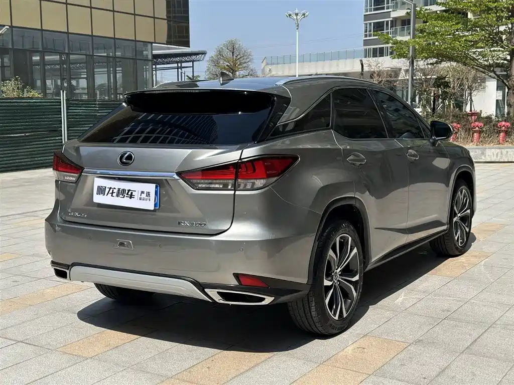 Lexus RX 300 4 WD Elegant CN-VI
