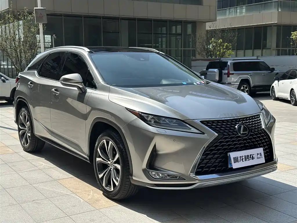 Lexus RX 300 4 WD Elegant CN-VI