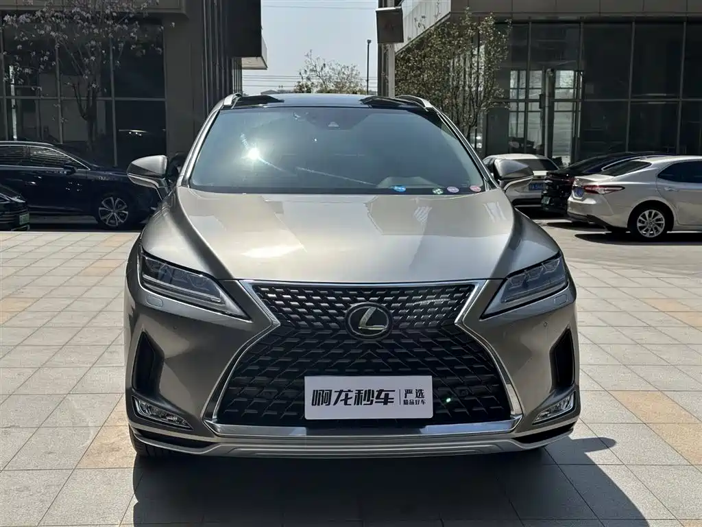 Lexus RX 300 4 WD Elegant CN-VI