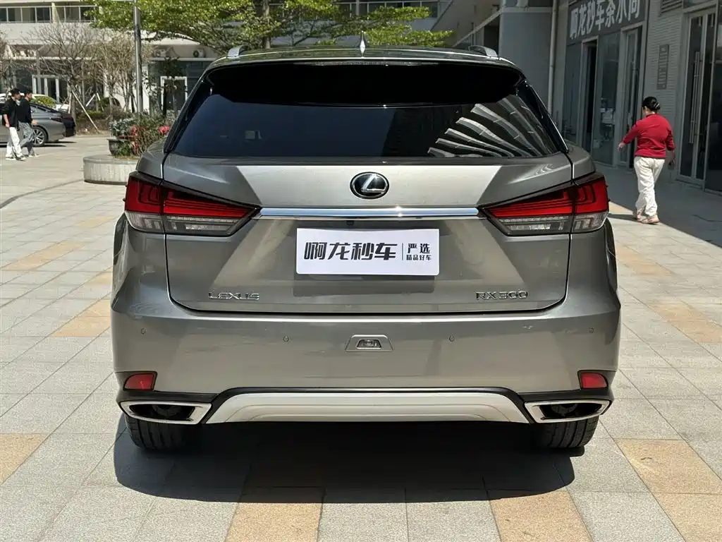Lexus RX 300 4 WD Elegant CN-VI