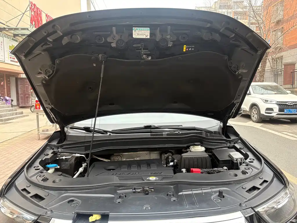 Haval H6 Blue Label Sport 1.5 T Manual 2 WD Elite