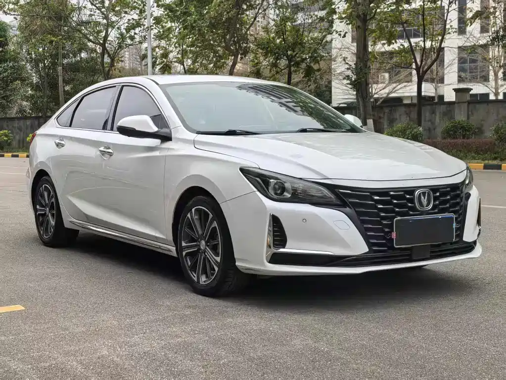 Ruicheng CC Blue Whale 1.5 T DCT Luxury