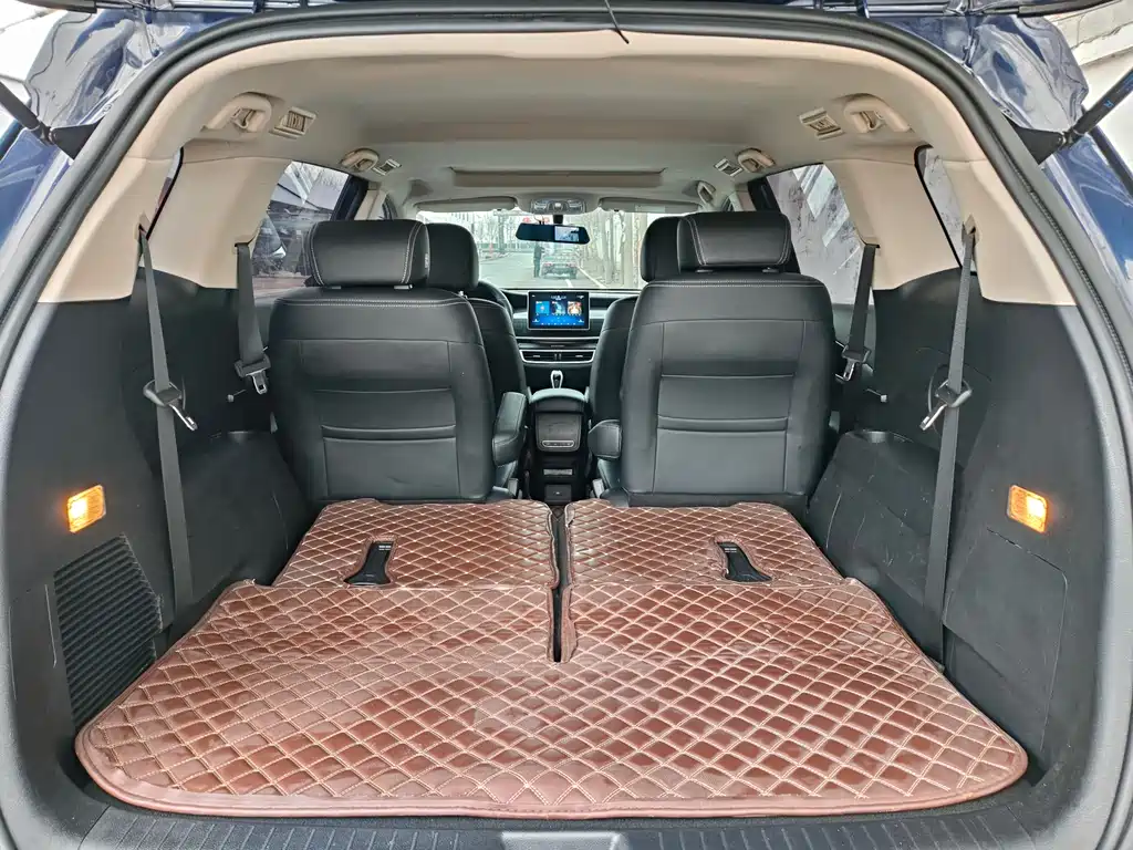 Song MAX 1.5 T Auto Connected Wise Comfort Sunroof 6-seat CN-VI