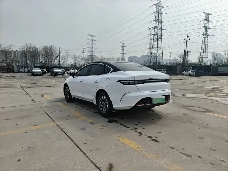 BYD Destroyer 05 Glory DM-i 55 KM Luxury