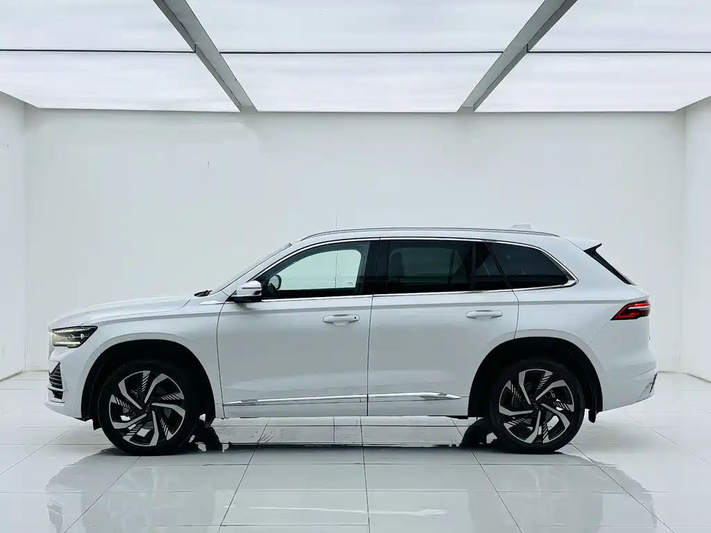 Xingyue L 2.0 TD High Power Auto 2 WD Flagship