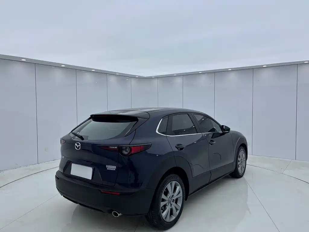 Mazda CX-30 2.0 L Auto Elegant Joy