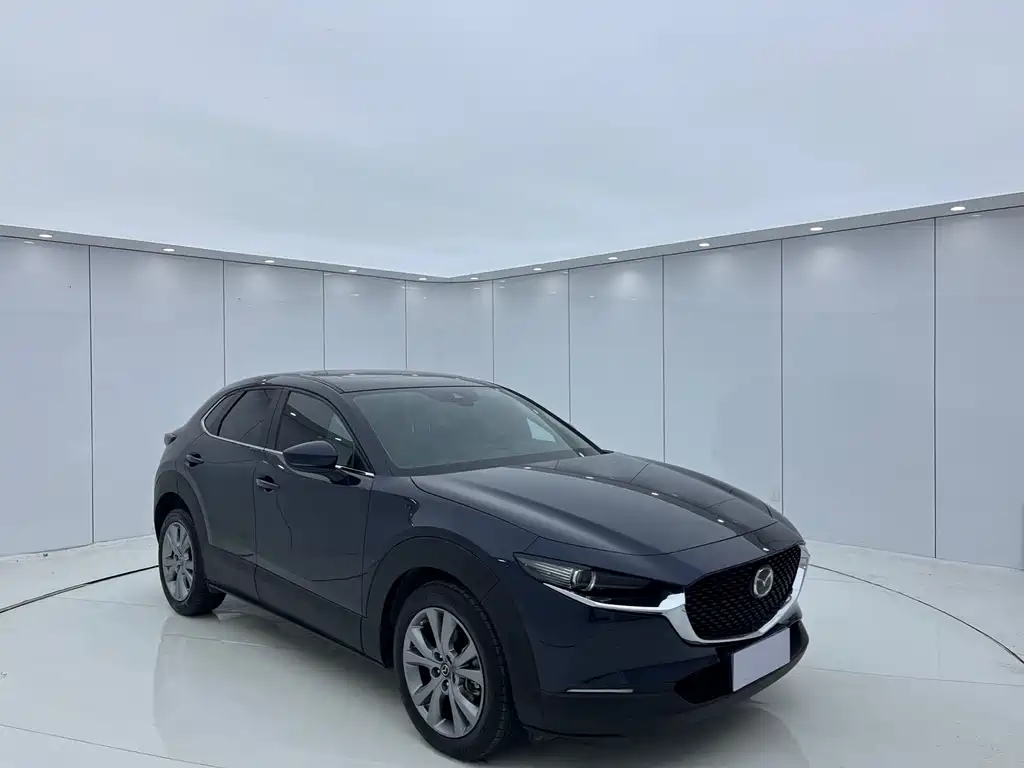 Mazda CX-30 2.0 L Auto Elegant Joy