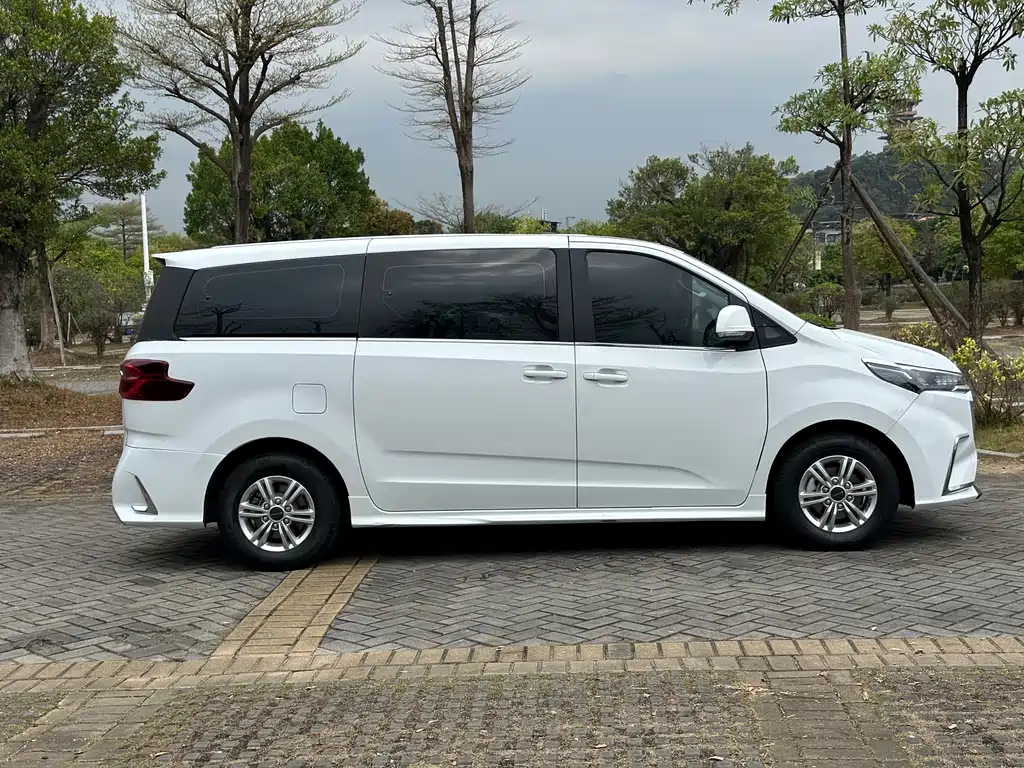 Maxus G20 ES 2.0 T Gasoline Auto Value