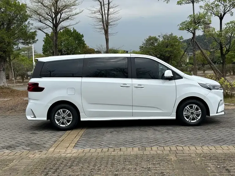 Maxus G20 ES 2.0 T Gasoline Auto Value