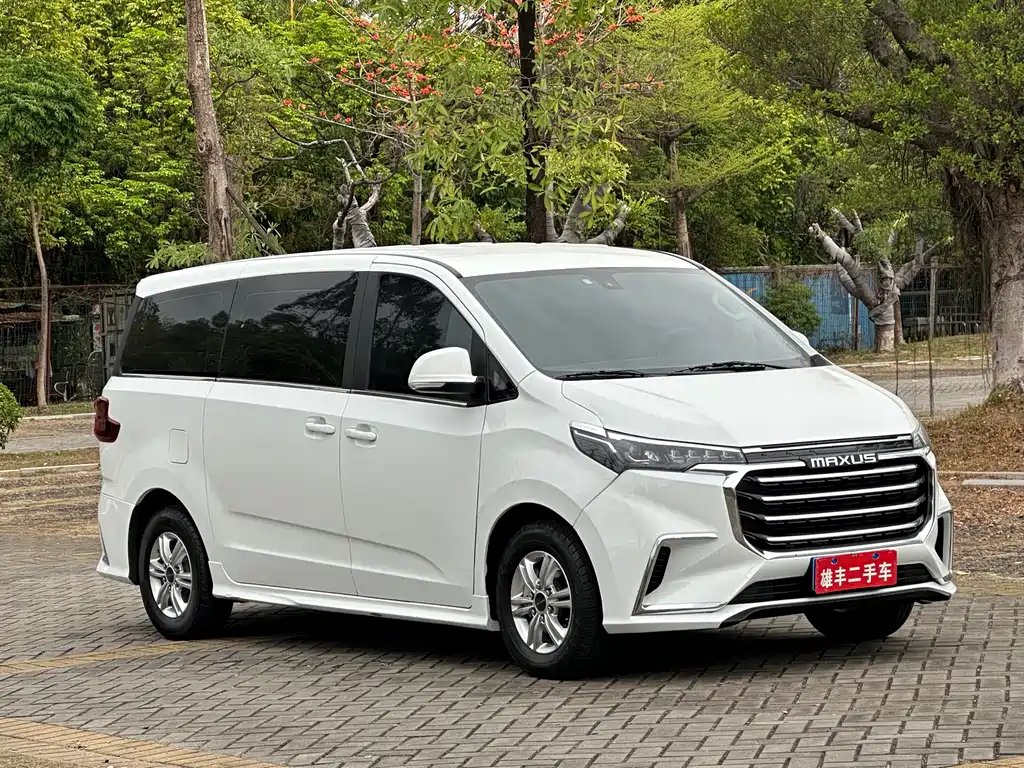 Maxus G20 ES 2.0 T Gasoline Auto Value