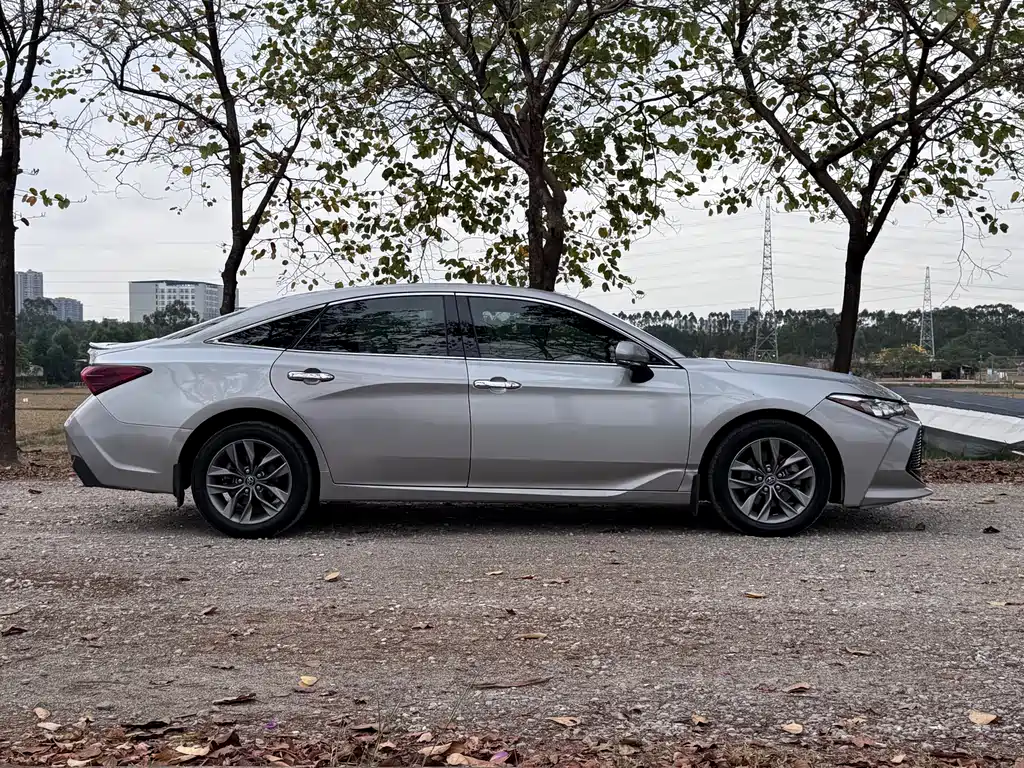 Avalon 2.5 L Progressive CN-V