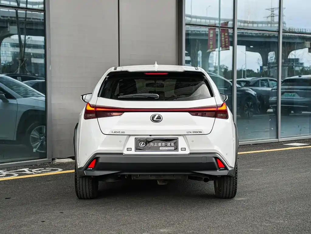 Lexus UX 260 h ·