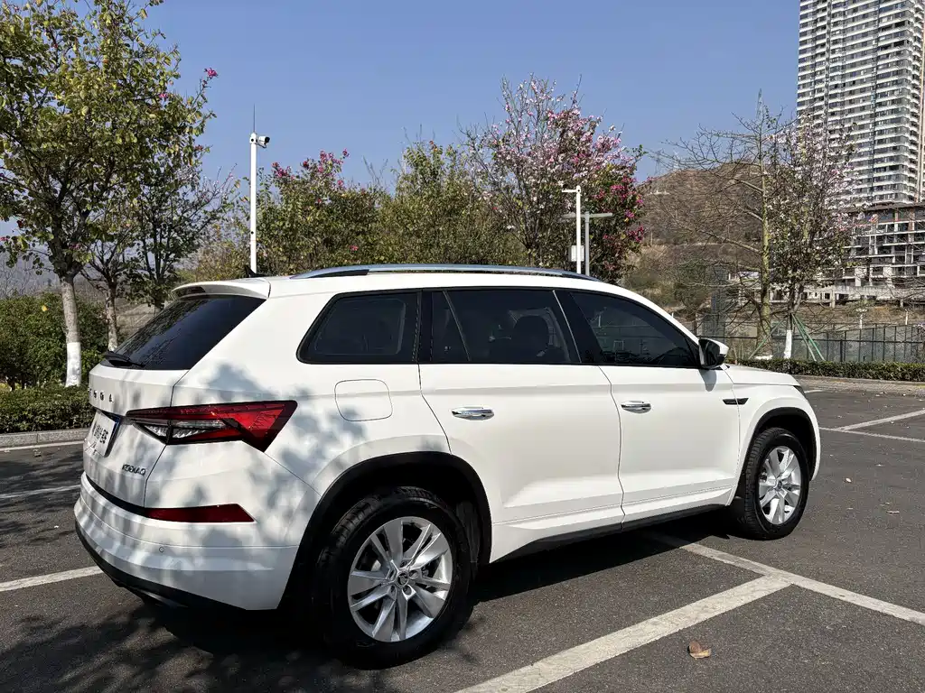 Kodiaq 柯迪亚克 2025款 TSI330 5座两驱实力版