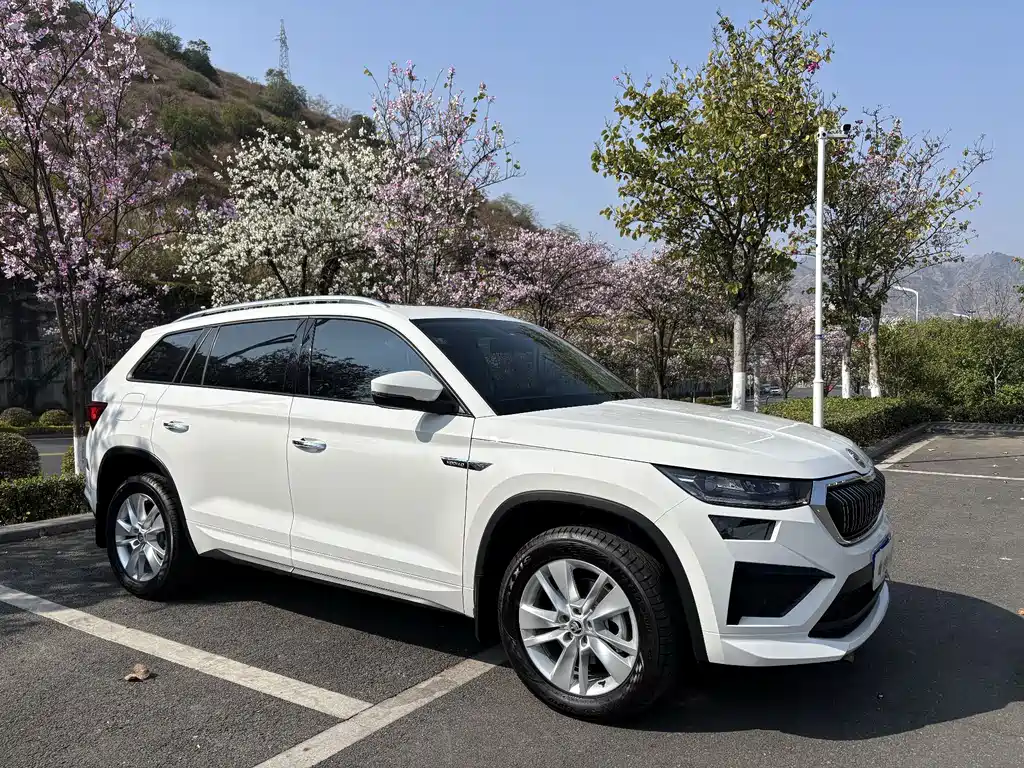 Kodiaq 柯迪亚克 2025款 TSI330 5座两驱实力版