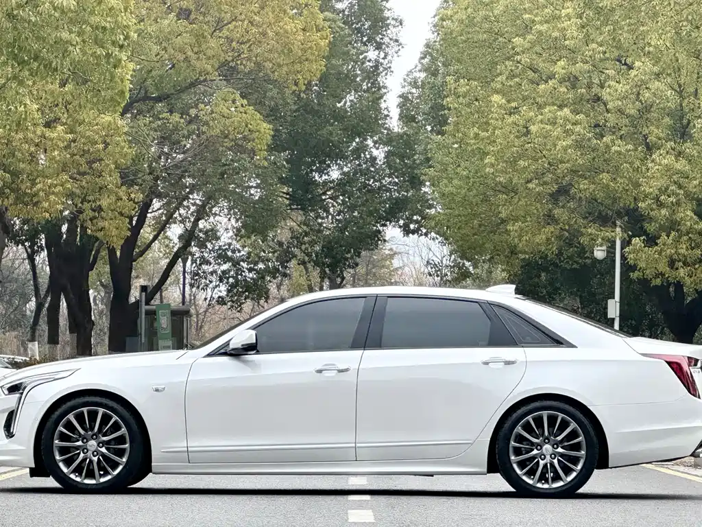 Cadillac CT6 28 T Platinum