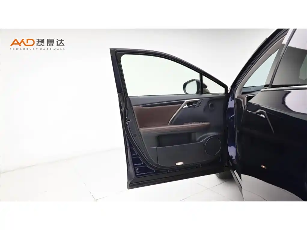 Lexus RX 300 4 WD Elegant CN-VI