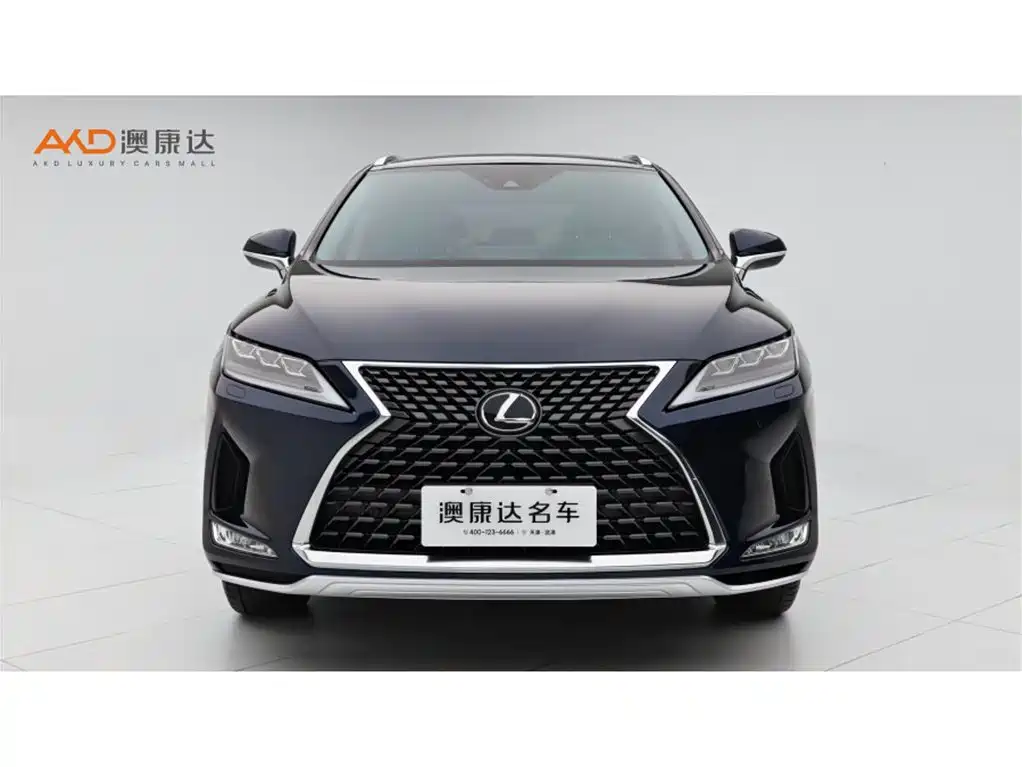 Lexus RX 300 4 WD Elegant CN-VI