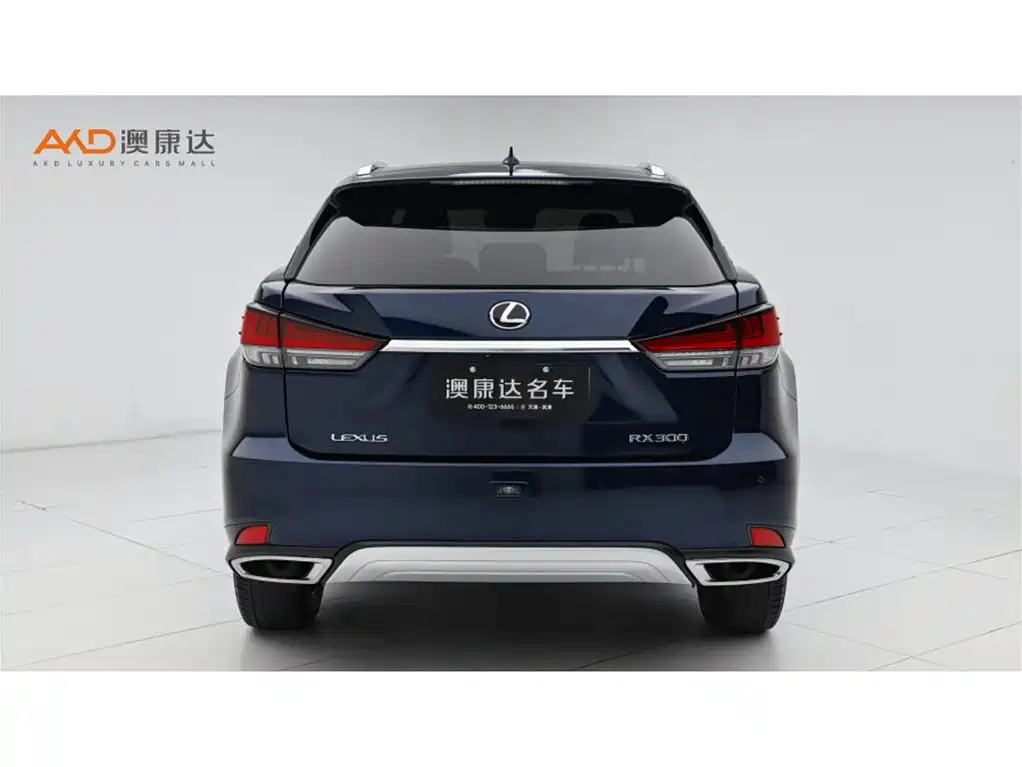 Lexus RX 300 4 WD Elegant CN-VI