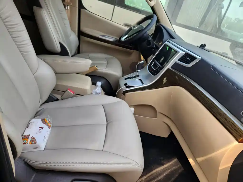 Grace 2.7 L Flagship LWB 9-seat2 TR