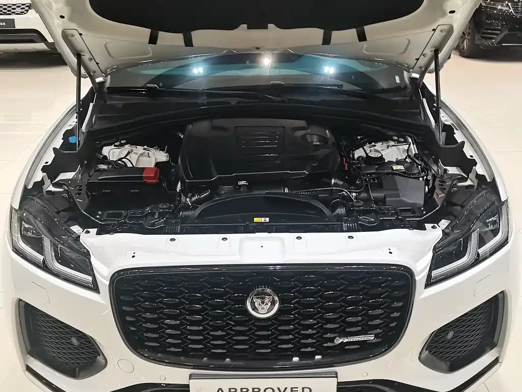 Jaguar F-PACE P250 R-Dynamic SE