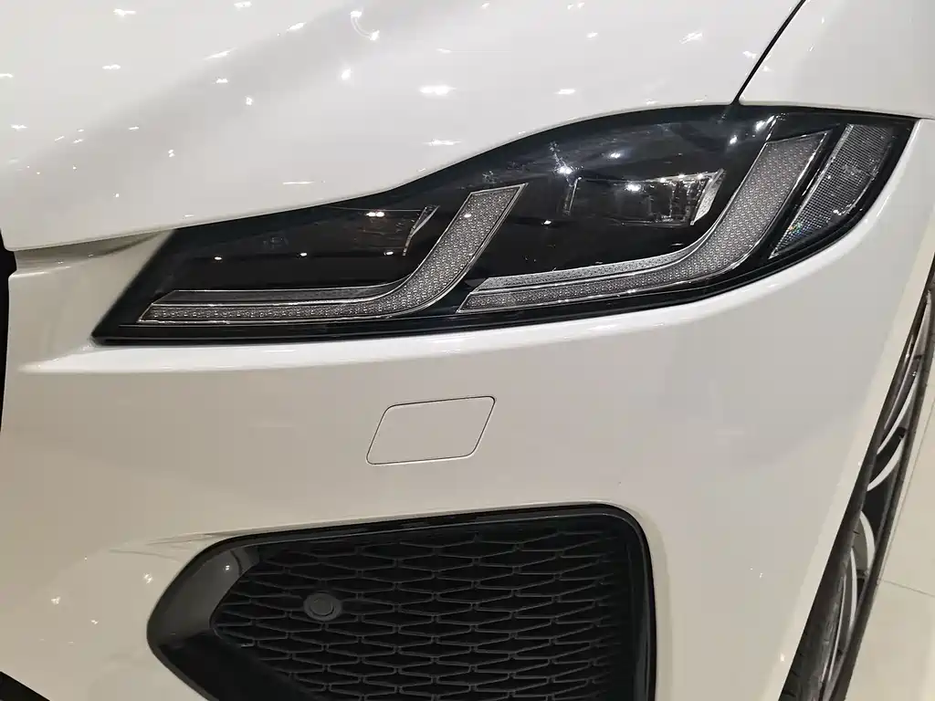 Jaguar F-PACE P250 R-Dynamic SE