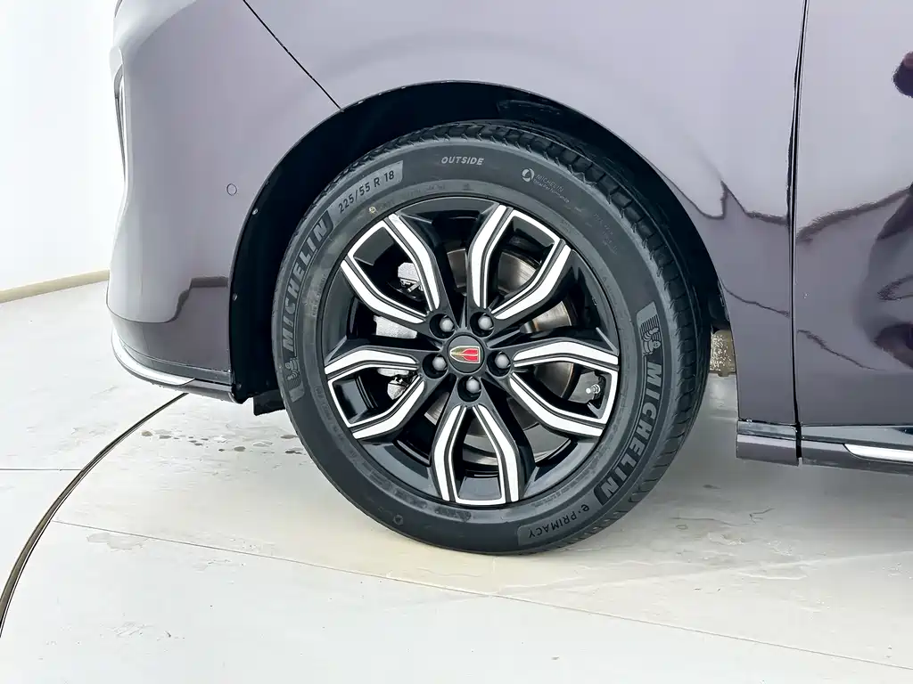Hongqi HQ9 2.0 T Connected Flagship Leading