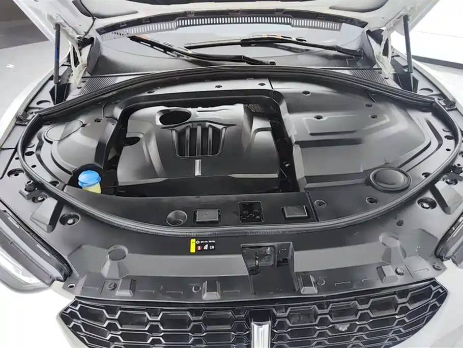 WEY VV7 2.0 T Super Luxury