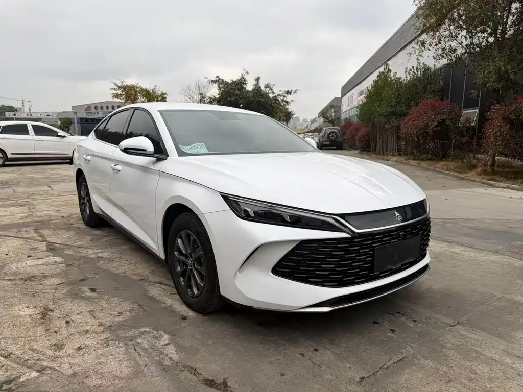 Qin L DM-i 80 KM Leading
