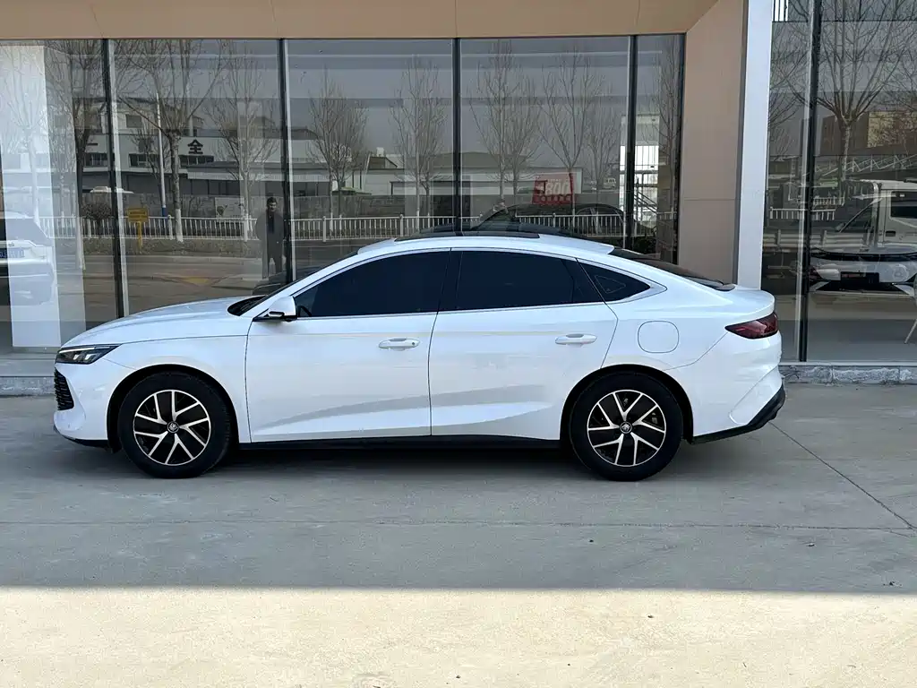 Qin L DM-i 120 KM Transcend