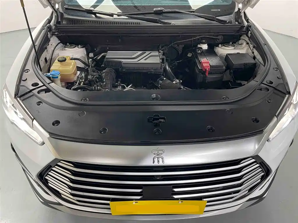 Song Pro 1.5 T Auto Xiaoyun Luxury