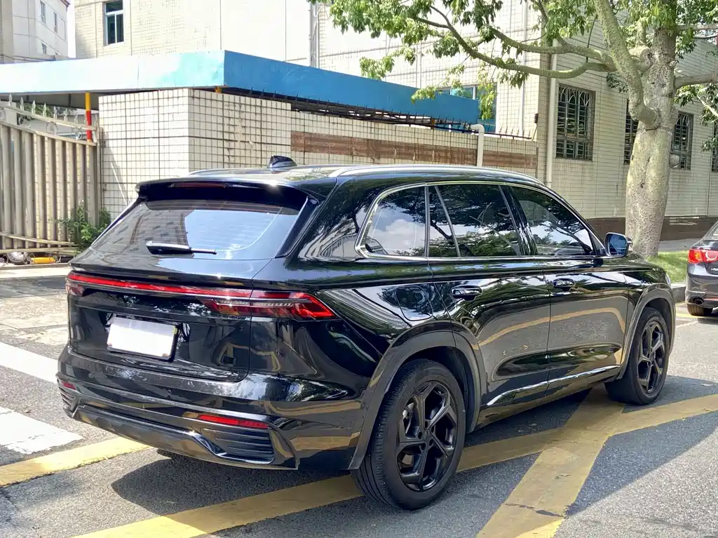 Xingyue L 2.0 TD High Power Auto 4 WD Distinguished