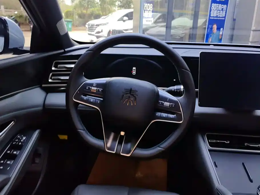 Qin L DM-i 80 KM Transcend