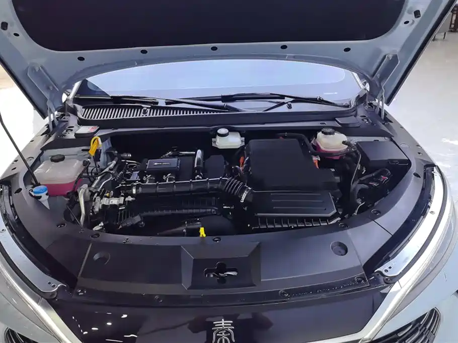 Qin L DM-i 80 KM Transcend