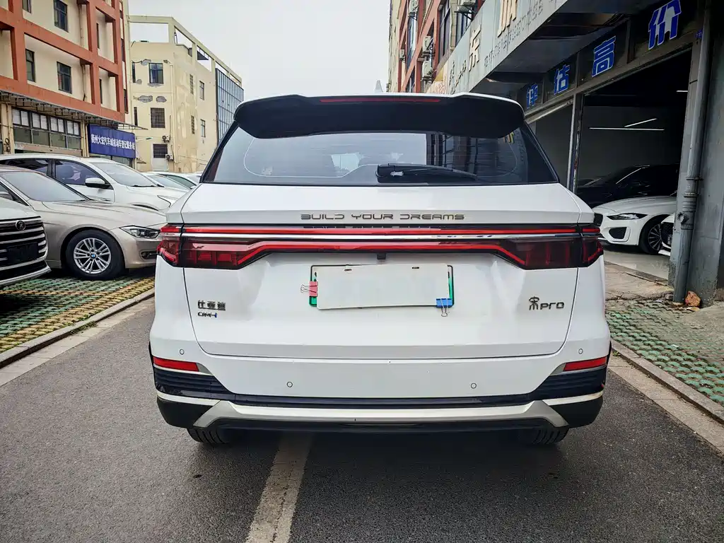 Song Pro NEV DM-i 51 km Luxury
