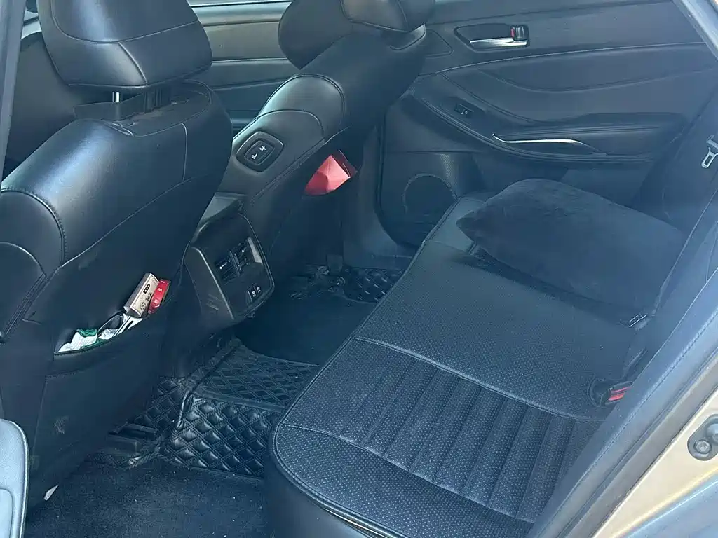 Avalon 2.0 L Luxury CN-VI