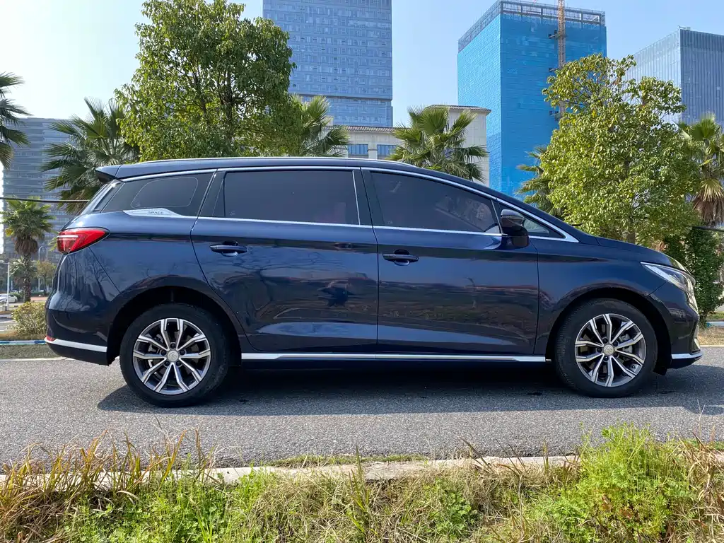 Song MAX Upgraded 1.5 T Auto Distinguished 6-seat