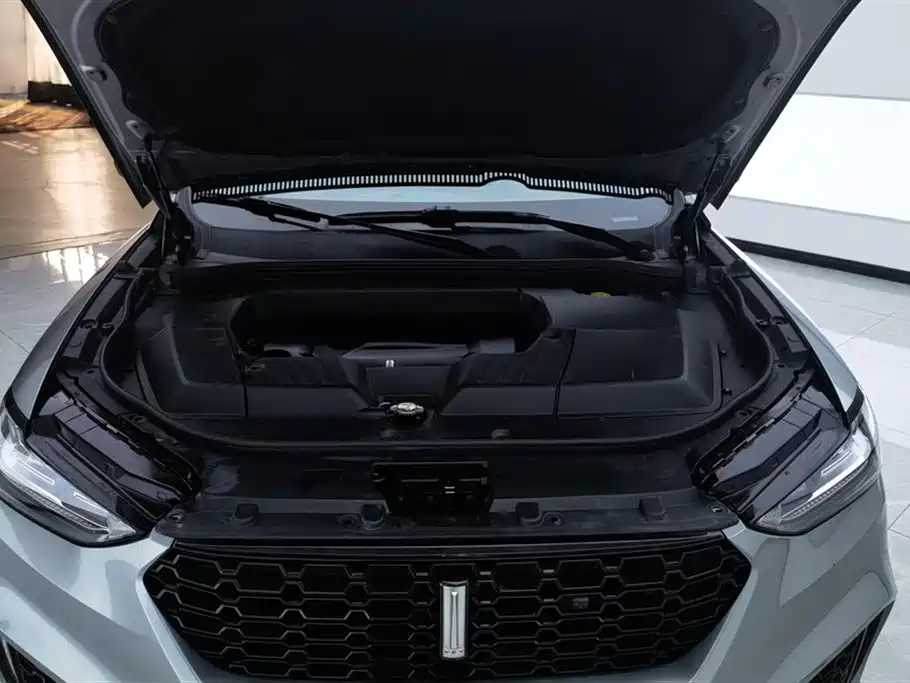 WEY VV6 2.0 T 2 WD Super Luxury CN-V